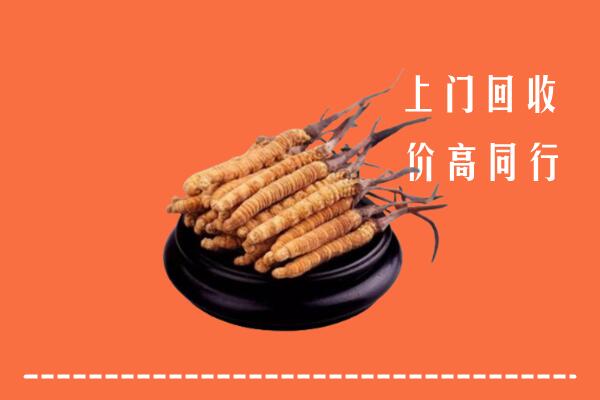 高价求购：鄂尔多斯鄂托克旗回收散虫草