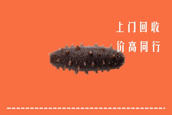 高价求购：鄂尔多斯鄂托克旗回收海参