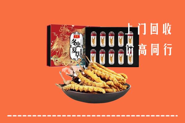 鄂尔多斯鄂托克旗回收虫草